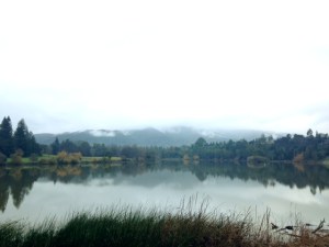 Mile 5.2 at Vasona Lake - Jan 5
